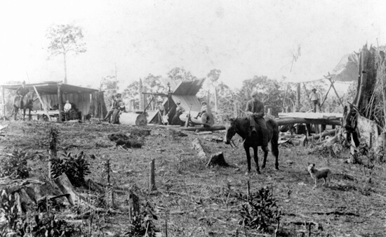 pit-saw-camp-1907